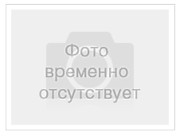 "День здоровья"